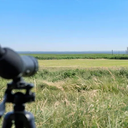 4472-hvide-sande-mettes-bjerg-1-a * Hvide Sande