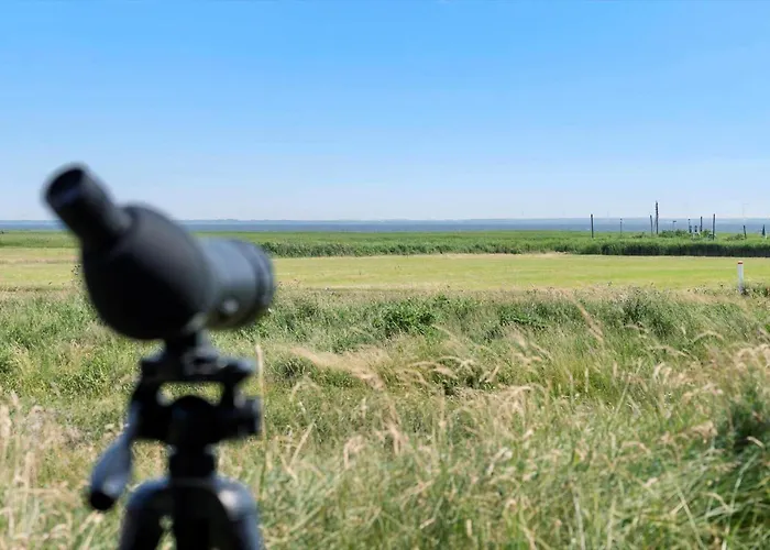 4472-hvide-sande-mettes-bjerg-1-a * Hvide Sande
